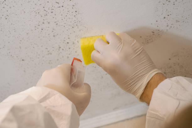 Mold Documentation for Insurance Claims in West Fargo, ND